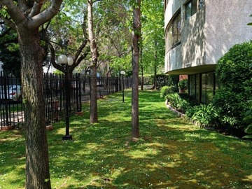 Imagen 14