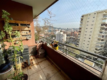 Imagen 11
