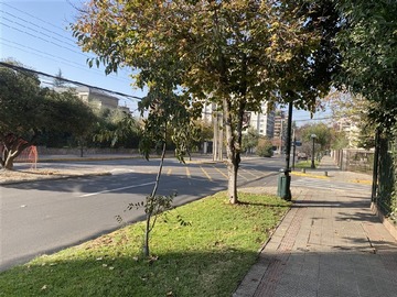 Imagen 11