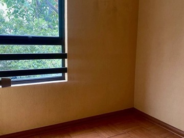 Imagen 6
