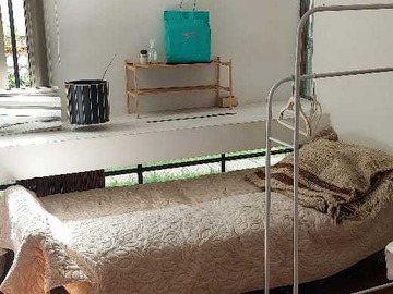 Imagen 13