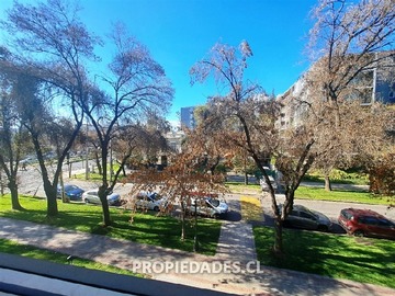 Imagen 20