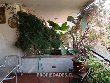 Imagen 9