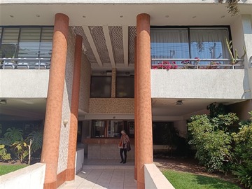 Imagen 12