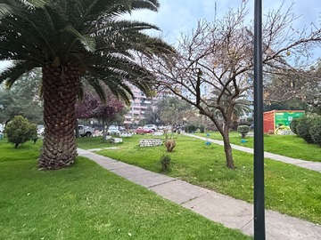 Imagen 14