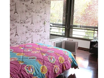 Imagen 18