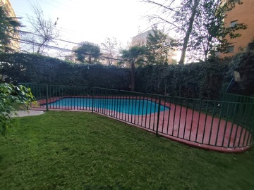 Imagen 11