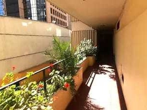 Imagen 8