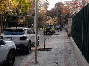 Imagen 20