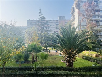 Imagen 25