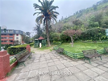 Imagen 23