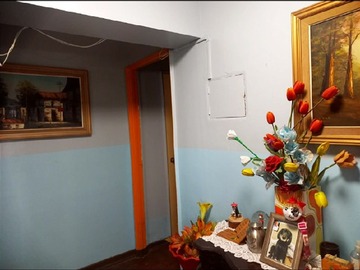 Imagen 5