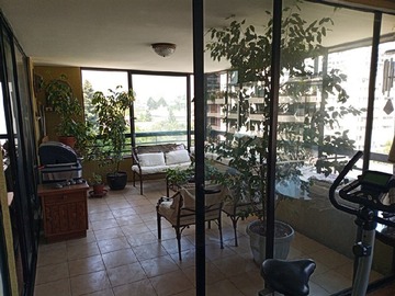 Imagen 6