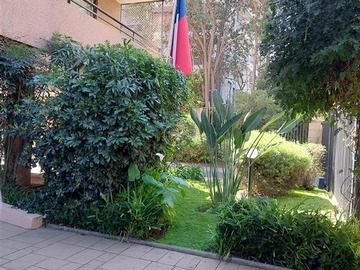 Imagen 18