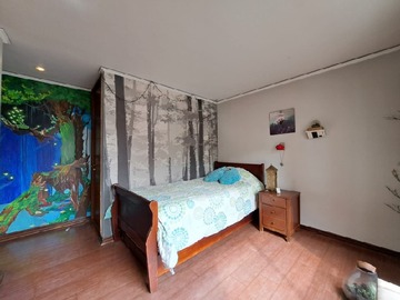 Imagen 19