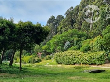 Imagen 28