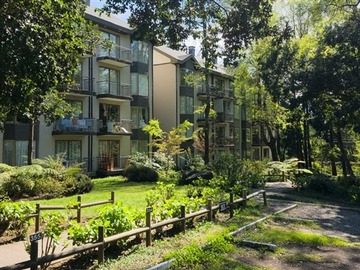 Venta / Departamento / Pucón