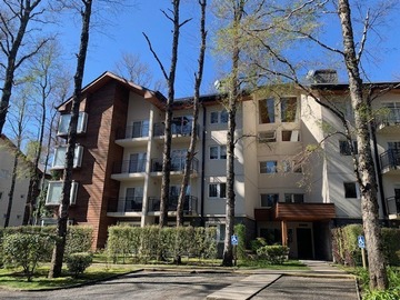 Venta / Departamento / Pucón