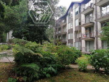Venta / Departamento / Pucón