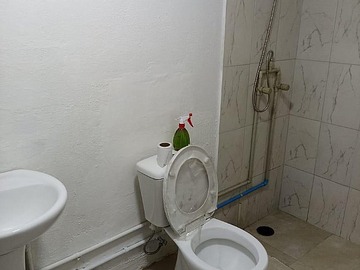 Imagen 11