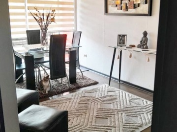 Venta / Departamento / Pudahuel