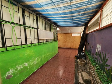 Imagen 4