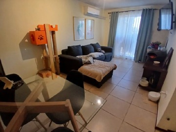 Imagen 8