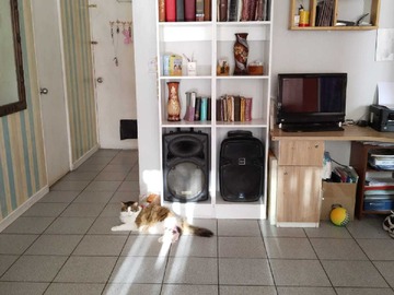 Venta / Departamento / Pudahuel