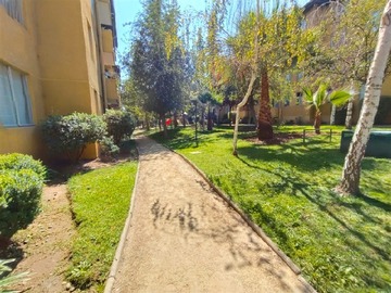 Imagen 25