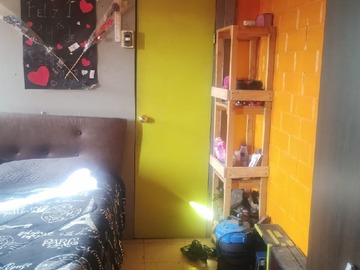 Imagen 5