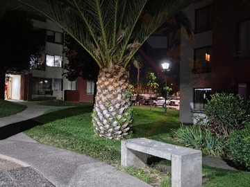 Imagen 23