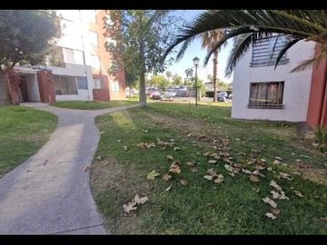 Imagen 15