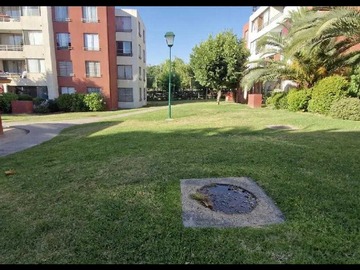 Imagen 16