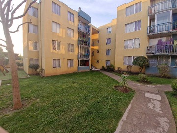 Imagen 11