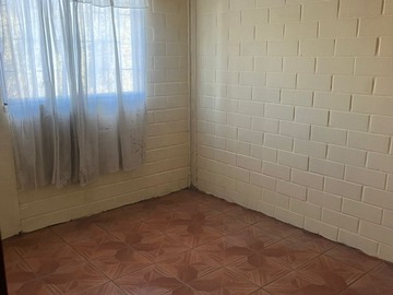 Imagen 7