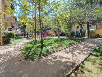 Imagen 25