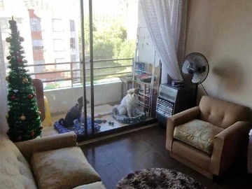 Imagen 2