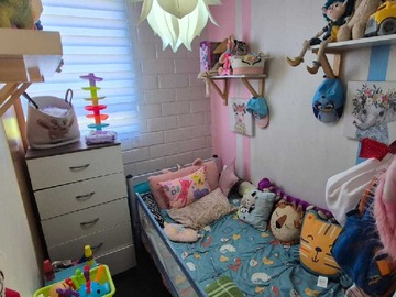 Imagen 13
