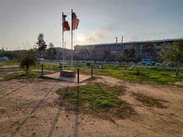 Imagen 23
