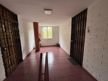 Imagen 14