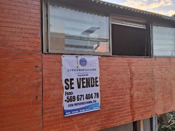 Imagen 23