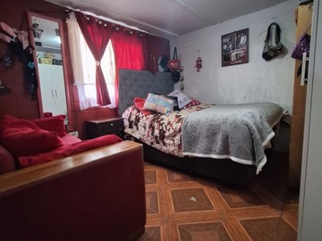 Imagen 5