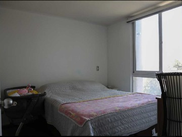 Imagen 6