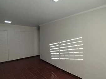 Imagen 12