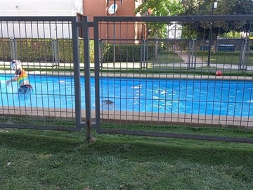 Imagen 8