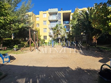 Imagen 12