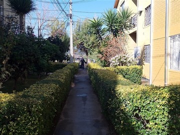 Imagen 10