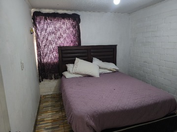 Imagen 6