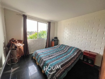 Imagen 22