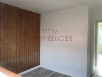 Imagen 13